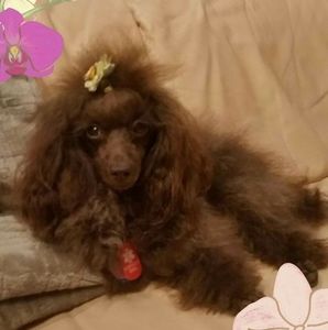 Meet your Posher, Gail